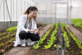 Scientist woman researcher staff worker collecting study plant information in agriculture farm. Agricultural Science concept