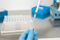 Scientist working with blood sample in laboratory.A blood test result for the new rapidly spreading Royalty Free Stock Photo