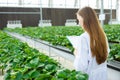 Scientist working collect data record tracking plant grow data for agriculture farm research science education Royalty Free Stock Photo