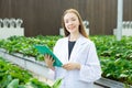 Scientist working collect data record tracking plant grow data for agriculture farm research science education Royalty Free Stock Photo