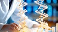 Scientist working on a DNA double helix model in a laboratory Royalty Free Stock Photo