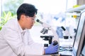 Scientist working in lab. Asian doctor making medical research. Laboratory tools: microscope, test tubes, equipment Royalty Free Stock Photo