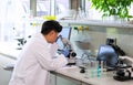 Scientist working in lab. Asian doctor making medical research. Laboratory tools: microscope, test tubes, equipment Royalty Free Stock Photo