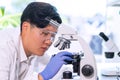 Scientist working in lab. Asian doctor making medical research. Laboratory tools: microscope, test tubes, equipment Royalty Free Stock Photo