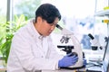 Scientist working in lab. Asian doctor making medical research. Laboratory tools: microscope, test tubes, equipment Royalty Free Stock Photo