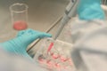 Scientist working in laboratory, microbiologis`s hand with gloves holding a pipette, preparing culture media for cell culture Royalty Free Stock Photo