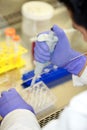 A Scientist's Hands Pipetting in a Scientific Laboratory