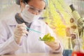 Scientist or young female chemists test vegetables in vitro to research in laboratory,concept development of future food, medicine