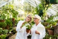 Scientists examining potted plant at greenhouse Royalty Free Stock Photo