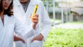 Scientists hand holding glass and examined the quality of vegetable organic salad and lettuce from the farmer`s hydroponic farm