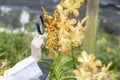 Scientists hold magnifiers, happy with success. Researcher botanical research orchid wearing Scientist shirt