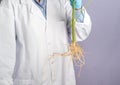 Scientists holding the roots of the cannabis plant for research while standing with a gray background.