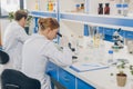 Scientists with microscopes in laboratory Royalty Free Stock Photo