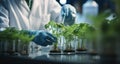 Scientists study green plants in the laboratory, combining nature with biotechnology