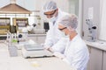 Scientists weighing corn in petri dish Royalty Free Stock Photo