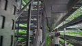 Scientists in white coats with a laptop and a tablet analyzes the work of a vertical farm to grow pure unmodified