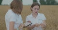 Scientists working in field with agriculture technology. Close up of woman hand touching tablet pc in wheat stalks