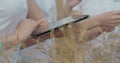 Scientists working in field with agriculture technology. Close up of woman hand touching tablet pc in wheat stalks