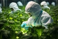 Scientists are working in genetically modified vegetable greenhouses. Generative AI Royalty Free Stock Photo