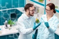 Scientists working with plants at modern laboratory