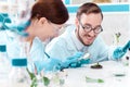 Scientists working with plants at modern laboratory