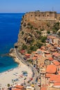 Scilla Royalty Free Stock Photo