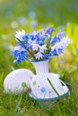 Scilla flowers with easter eggs Royalty Free Stock Photo