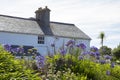 Scillonian cottage, Tresco, Isles of Scilly, England