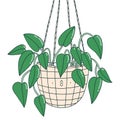 Scindapsus funny plant character in a hanging pot, vector illustration Royalty Free Stock Photo