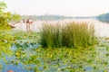 Scirpus in the Dnieper River in Kiev Royalty Free Stock Photo