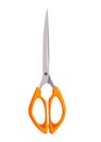 Scissor icon. Hand drawn professional sharp equipment for tailor. Cutting scissors for needlework. Craft and scissoring Royalty Free Stock Photo