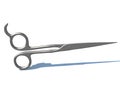 Scissors Royalty Free Stock Photo
