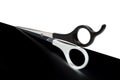 Scissors Royalty Free Stock Photo