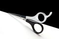 Scissors Royalty Free Stock Photo