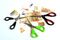 Scissors and banknote euro.