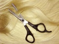 Scissors in blond hair Royalty Free Stock Photo