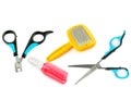 Scissors, clipper, shampoo and comb for dog grooming isolated on a white background Royalty Free Stock Photo