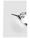 Scissors Clipping Blank