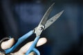 Scissors close-up. Blades of old paper cutting scissors. Hand tool.