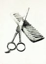 Scissors and comb Royalty Free Stock Photo