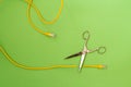 Scissors cut the network cable connector Royalty Free Stock Photo