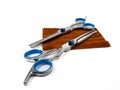 Scissors for cutting dogs. Dog grooming kit. Royalty Free Stock Photo