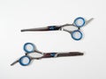 Scissors for cutting dogs. Dog grooming kit. Royalty Free Stock Photo