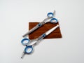 Scissors for cutting dogs. Dog grooming kit. Royalty Free Stock Photo