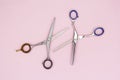 Scissors for cutting hair on a pink background.Scissors for thinning out hair. Top view of scissors isolated on a pink background Royalty Free Stock Photo