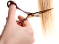 Scissors cutting lock of hair Royalty Free Stock Photo