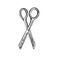 Scissors drawing, hand drawn doodle gravure vintage style, sketch, vector Royalty Free Stock Photo