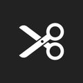 Scissors flat icon. Scissor vector illustration