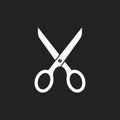 Scissors flat icon. Scissor vector illustration