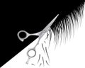 Scissors hairdresser